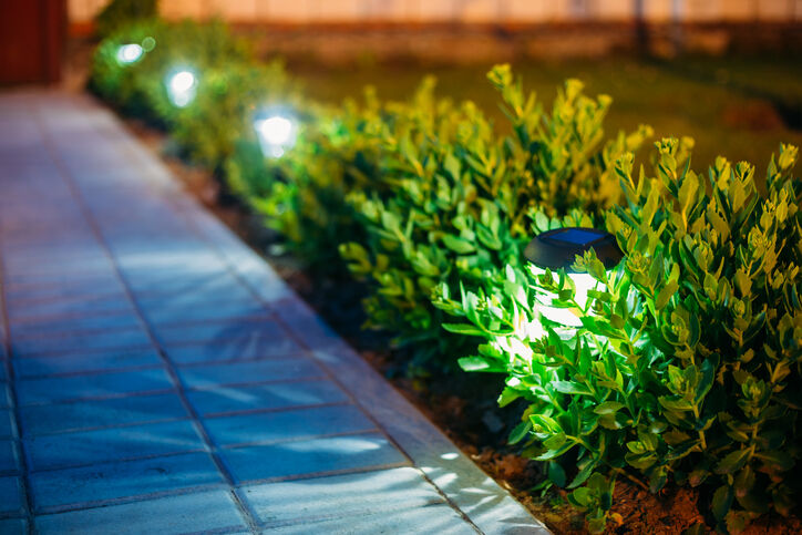 Landscape Lighting by Echo Electrical Services, Inc.